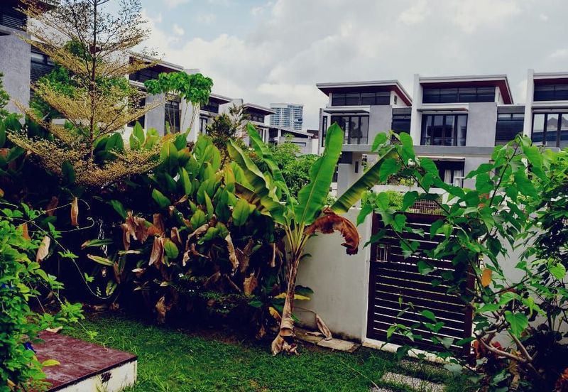 Mozart, Symphony Hills