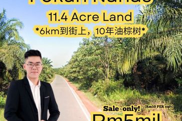 Taman Damai, Pekan Nanas