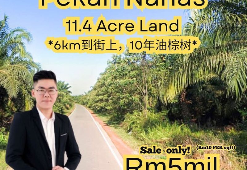 Taman Damai, Pekan Nanas