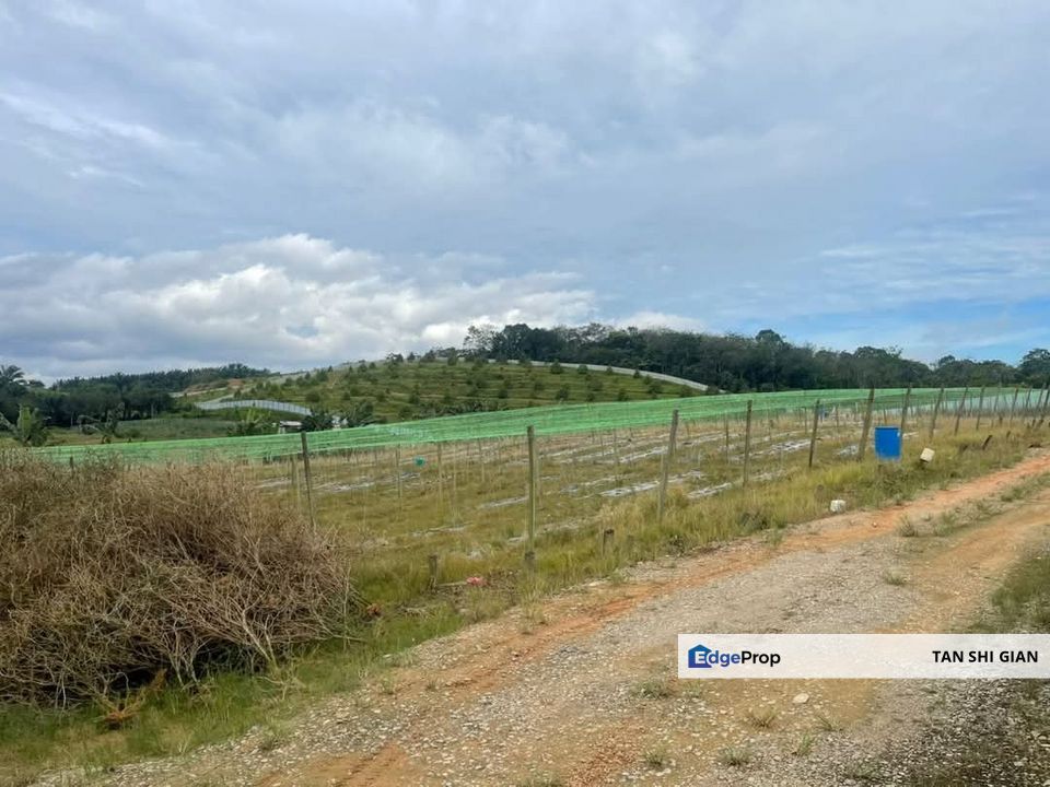 Kulai-Kota Tinggi Main Road 7Acre Land, Johor, Ulu Tiram