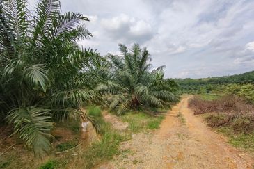 Taman Ayer Hitam