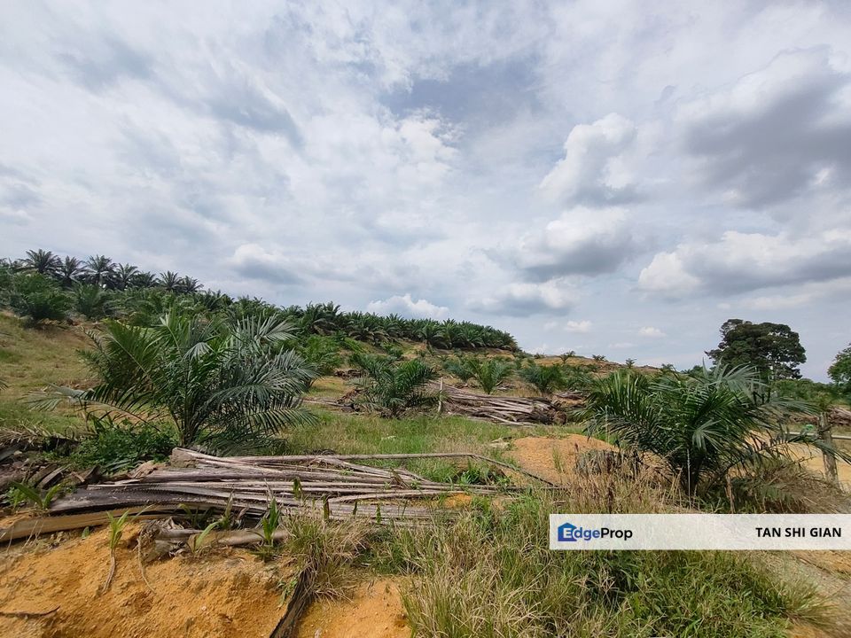 Ayer Hitam 17Acre Land for Sale, Johor, Ayer Hitam