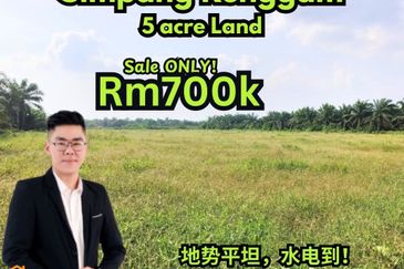 Taman Simpang Renggam