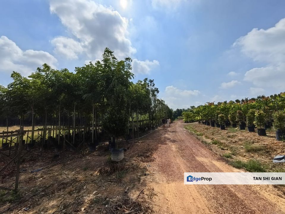 Yong Peng 5.3Acre Land for Sale, Johor, Yong Peng