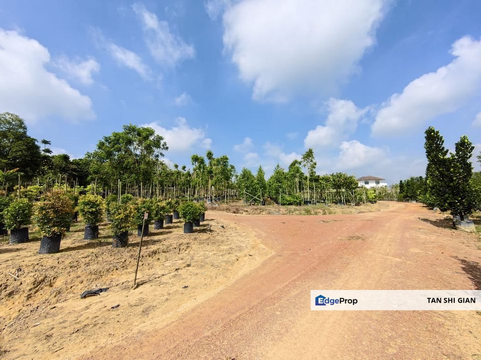 Yong Peng 5.3Acre Land for Sale, Johor, Yong Peng