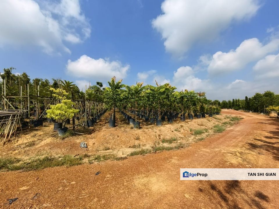 Yong Peng 5.3Acre Land for Sale, Johor, Yong Peng