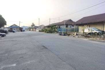 Taman Utama, Pekan Nanas