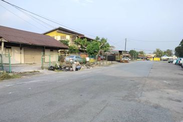 Taman Utama, Pekan Nanas