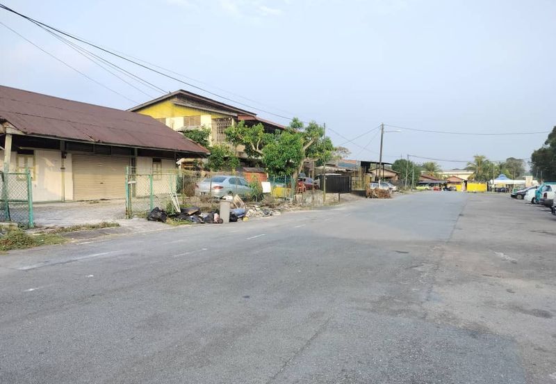 Taman Utama, Pekan Nanas