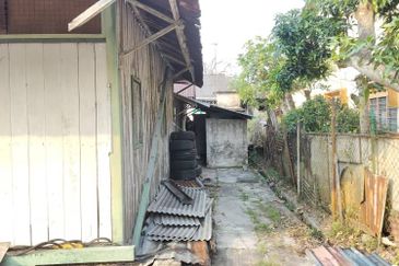 Taman Utama, Pekan Nanas