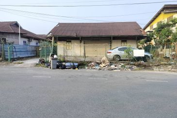 Taman Utama, Pekan Nanas