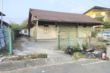 Taman Utama, Pekan Nanas