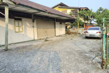 Taman Utama, Pekan Nanas