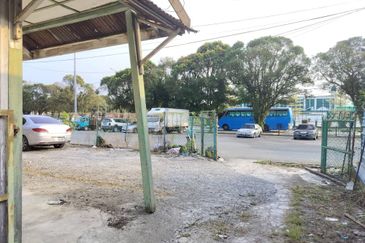 Taman Utama, Pekan Nanas