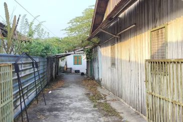 Taman Utama, Pekan Nanas