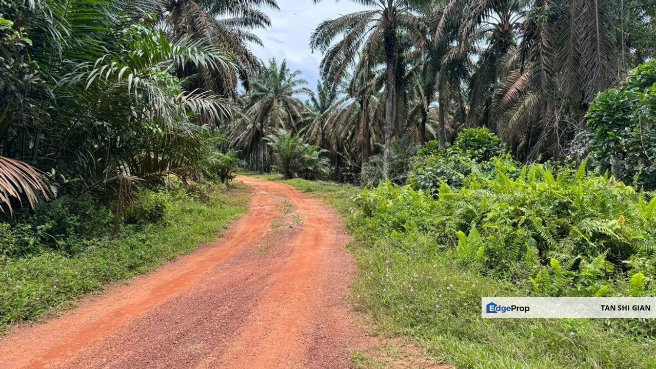 Kluang, Layang-Layang Land for Sale, Penang, Simpang Ampat