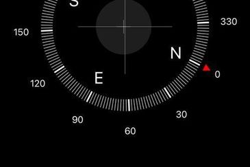 Desa Palma, Nasa City