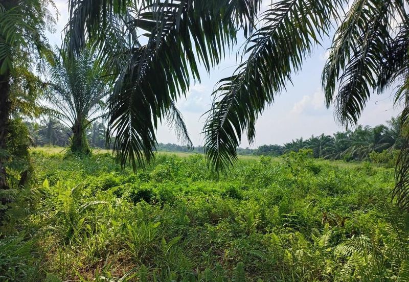 Taman Simpang Renggam