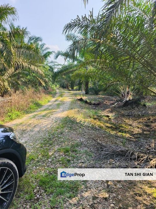 Simpang Renggam 5Acre Land for Sale, Johor, Simpang Renggam