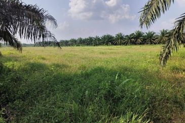 Taman Simpang Renggam