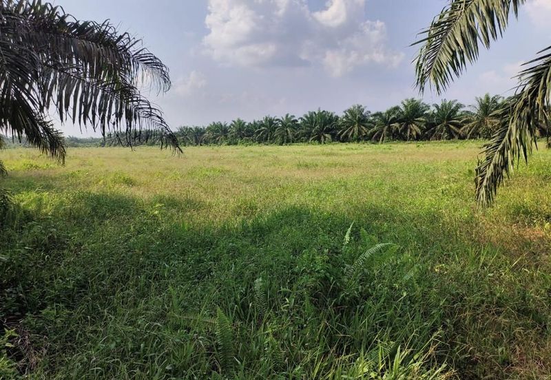 Taman Simpang Renggam