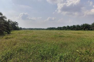 Taman Simpang Renggam