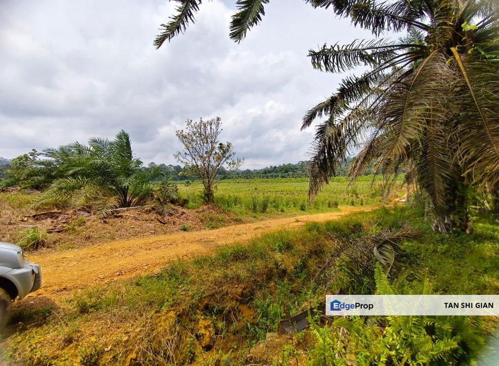 Kulai, Bukit Batu 20Acre Land for Sale, Johor, Kulai
