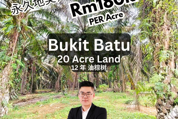 Bukit Batu, Sedenak