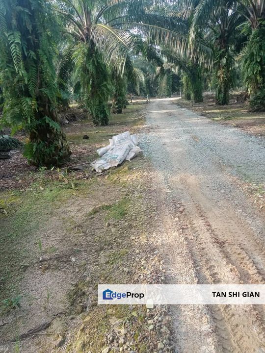 Pekan Nanas, Jeram Batu 30.95 Acre Land for Sale, Johor, Pontian