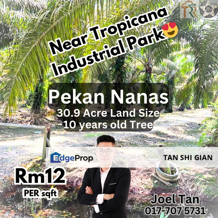 Pekan Nanas, Jeram Batu 30.95 Acre Land for Sale, Johor, Pontian