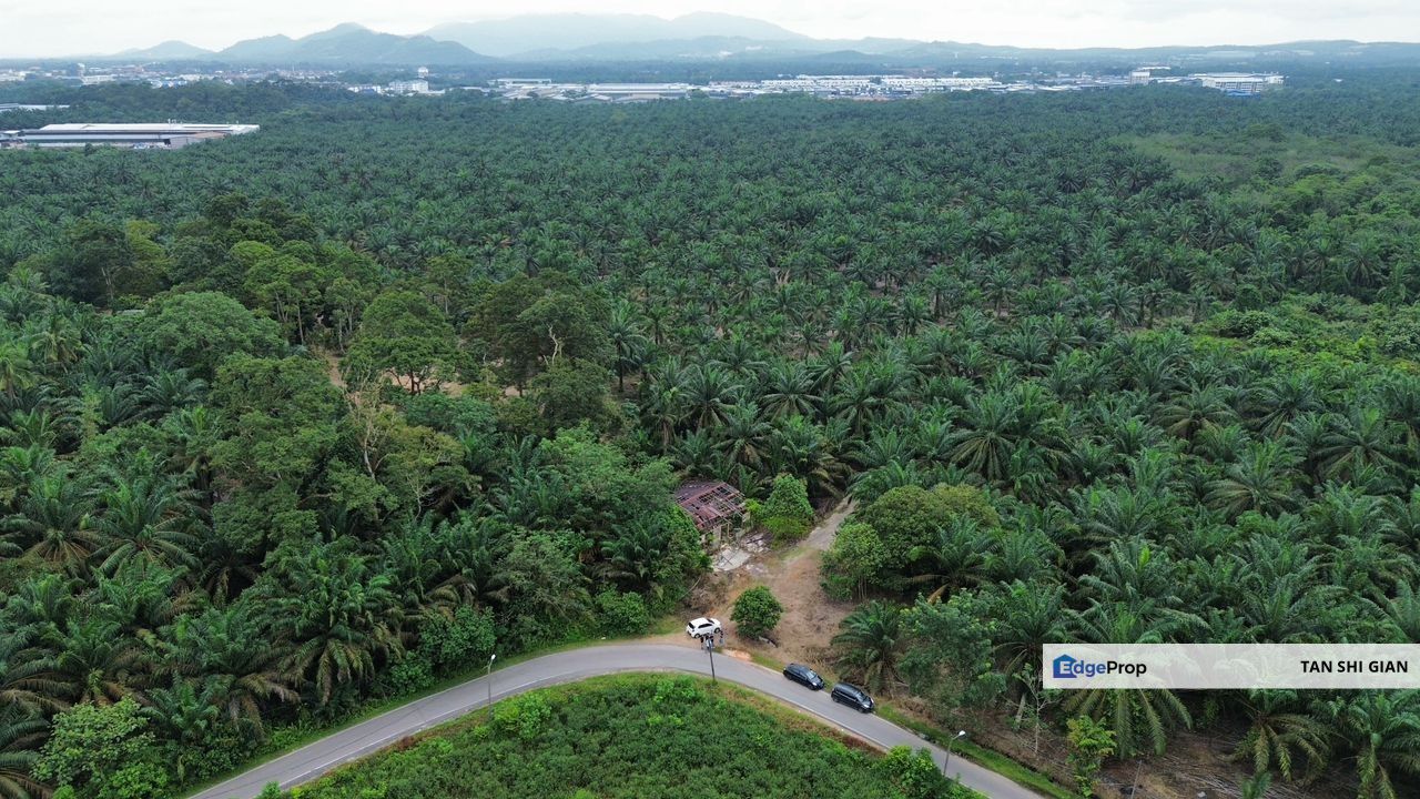 Pekan Nanas, Jeram Batu 15.6Acre Land for Sale, Johor, Pontian