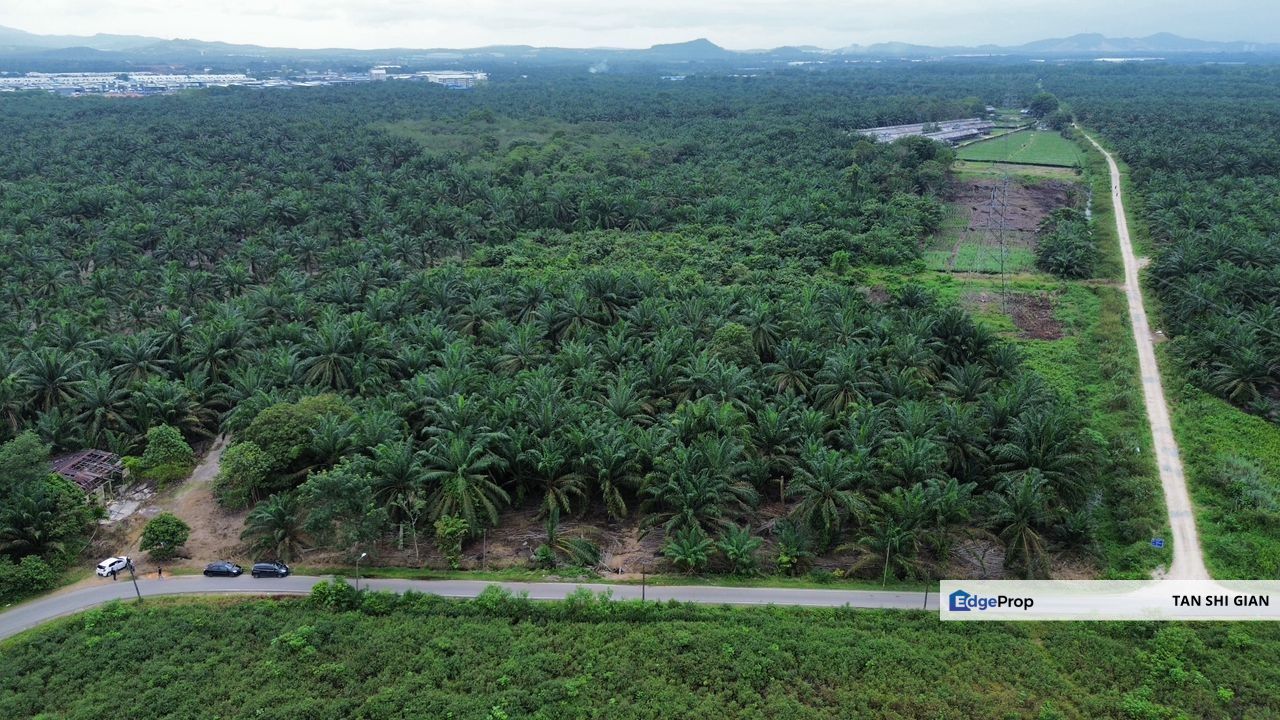 Pekan Nanas, Jeram Batu 15.6Acre Land for Sale, Johor, Pontian