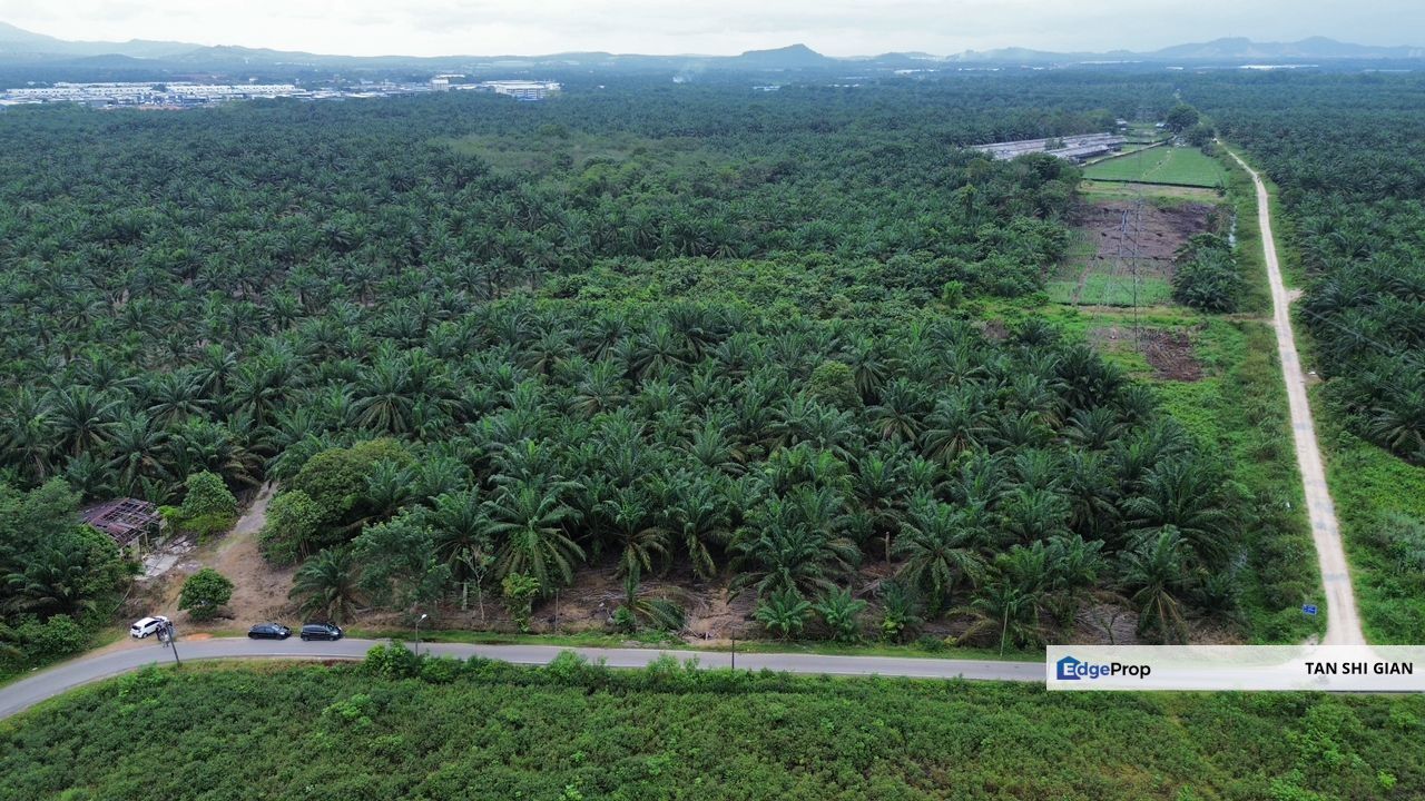 Pekan Nanas, Jeram Batu 15.6Acre Land for Sale, Johor, Pontian
