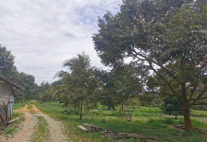 Kampung Baru Ayer Bemban