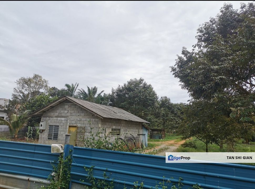 Kulai Ayer Bemban 5.2Acre Durian Land for Sale, Johor, Kulai