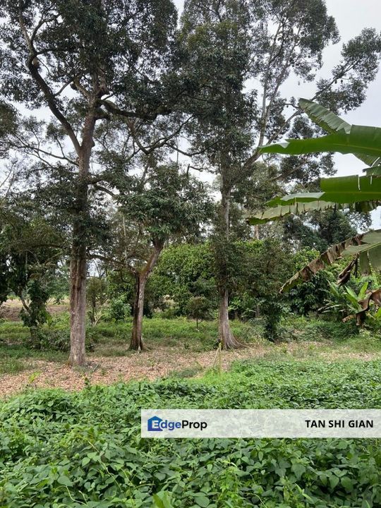 Machap 6Acre Land for Sale, Johor, Kluang