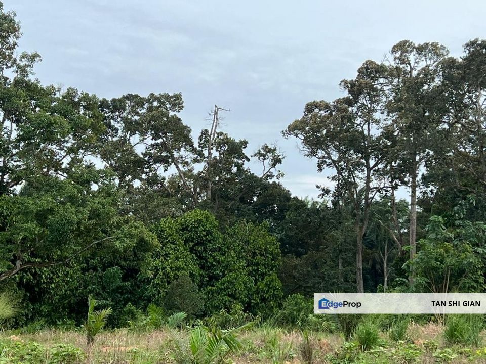 Machap 6Acre Land for Sale, Johor, Kluang