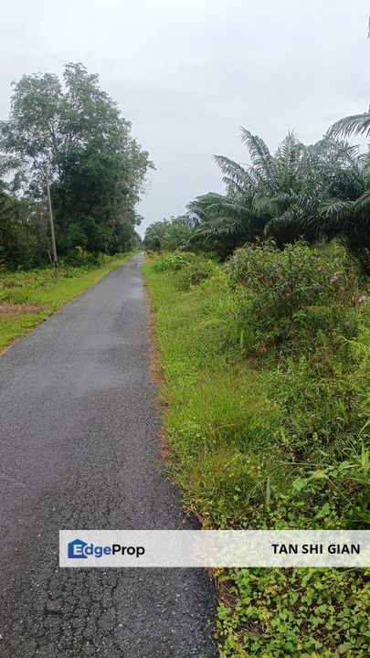 Pontian 10Acre Land for Sale, Johor, Pontian