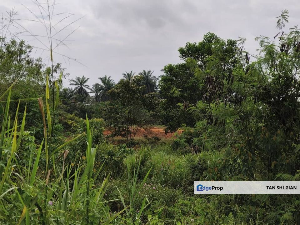 Scientex Bandar Kulai 3Acre Zone Industry Land for sale , Johor, Kulai