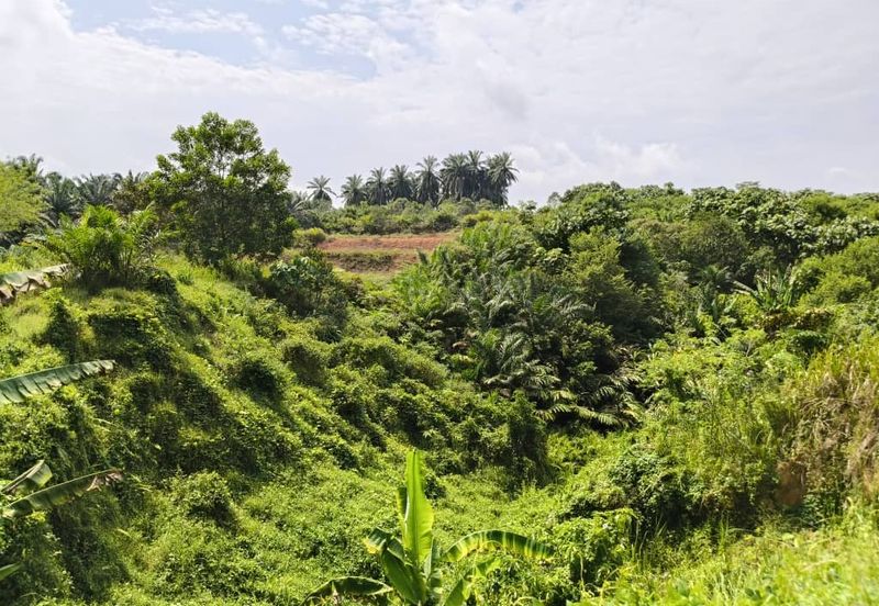 Taman Scientex Utama