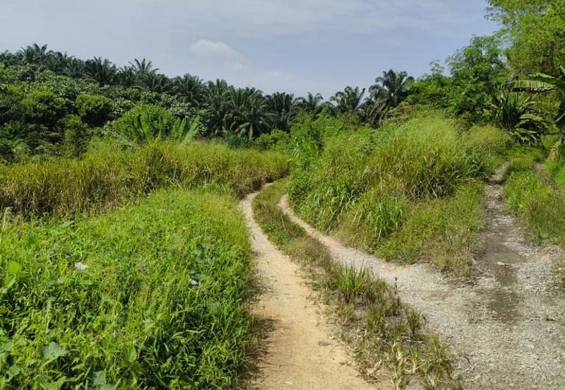 Taman Scientex Utama