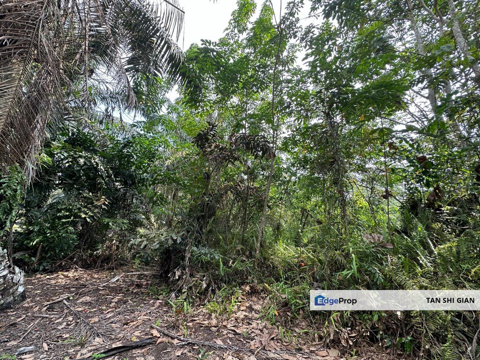 Pontian, Ayer Baloi 1.84Acre Land for Sale, Johor, Pontian