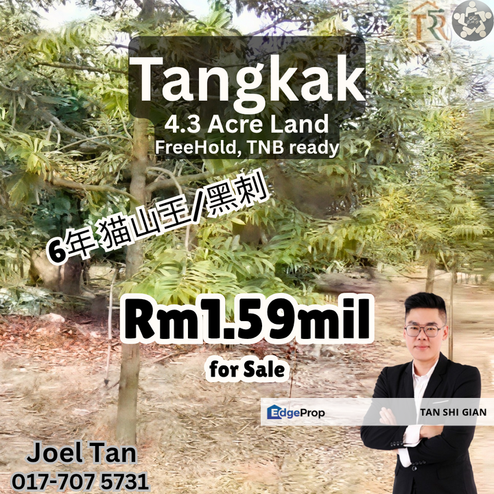Tangkak 4.3Acre Durian Land for Sale, Johor, Tangkak