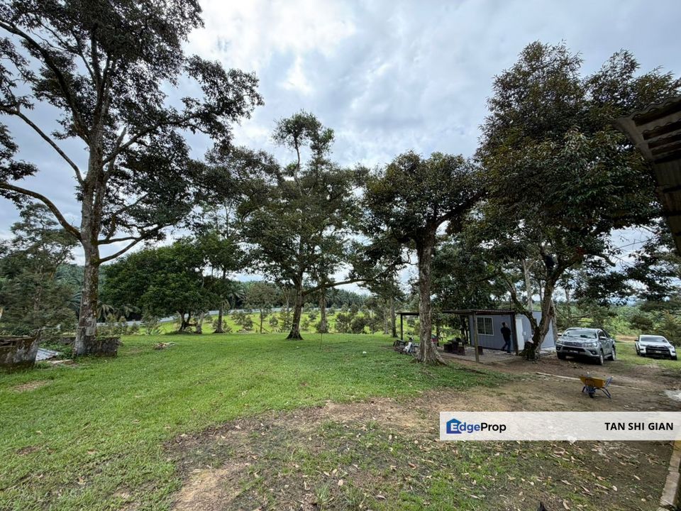 Ulu Tiram 7Acre Durian Land for Sale, Johor, Ulu Tiram
