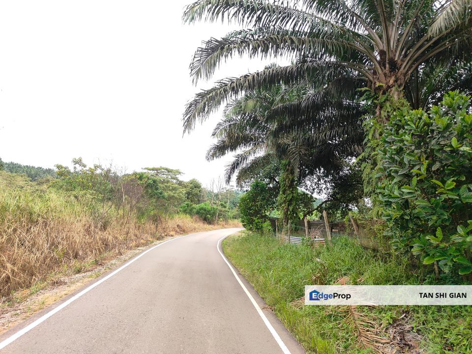 Yong Peng, Kangkar Bahru 8Acre Land for Sale, Johor, Yong Peng