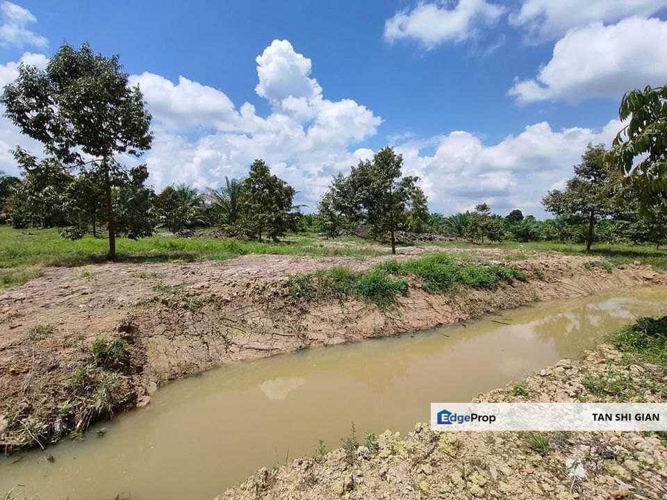 Yong Peng 6.89 acre Durian Land for Sale , Johor, Yong Peng