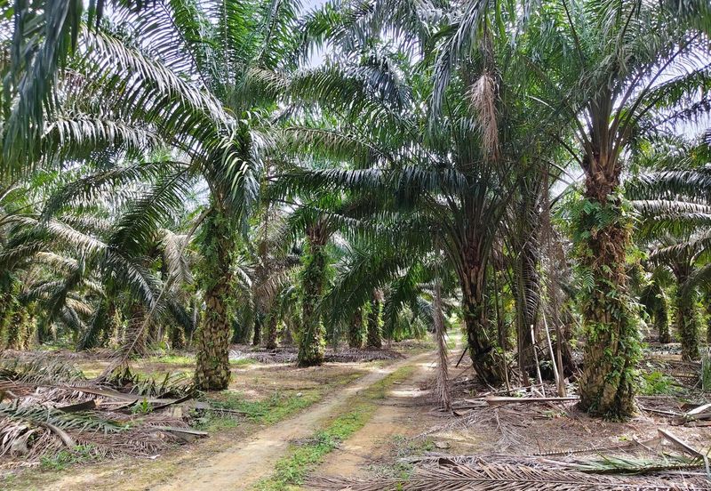 Bandar Baru Kangkar Pulai