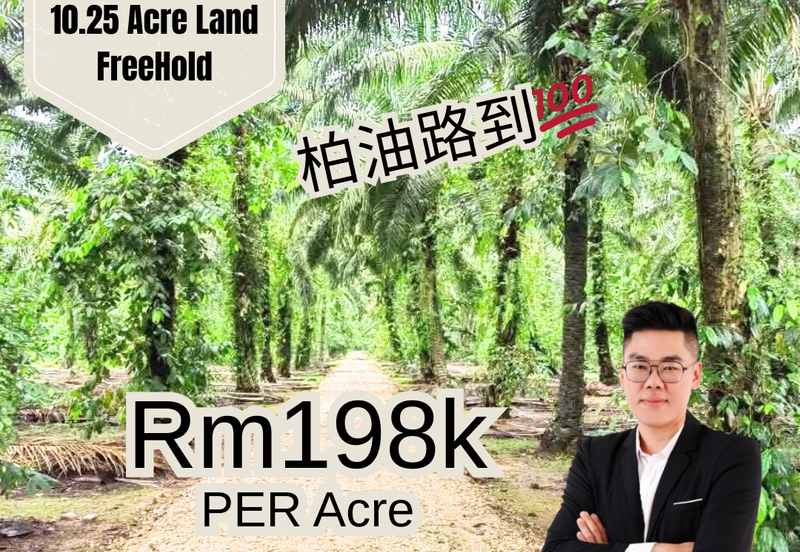 Taman Sri Pekan Nanas