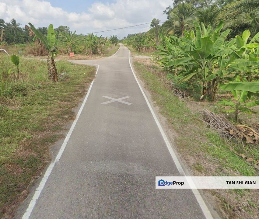 Pontian 12acre land for Sale, Johor, Pontian