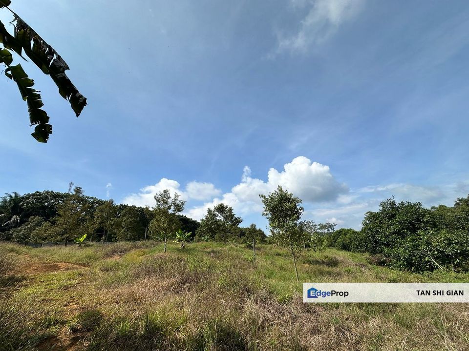 Kota Tinggi 10 acre Durian Land for Sale , Johor, Kota Tinggi